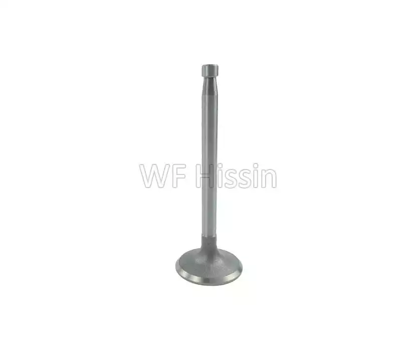 Intake valve JD